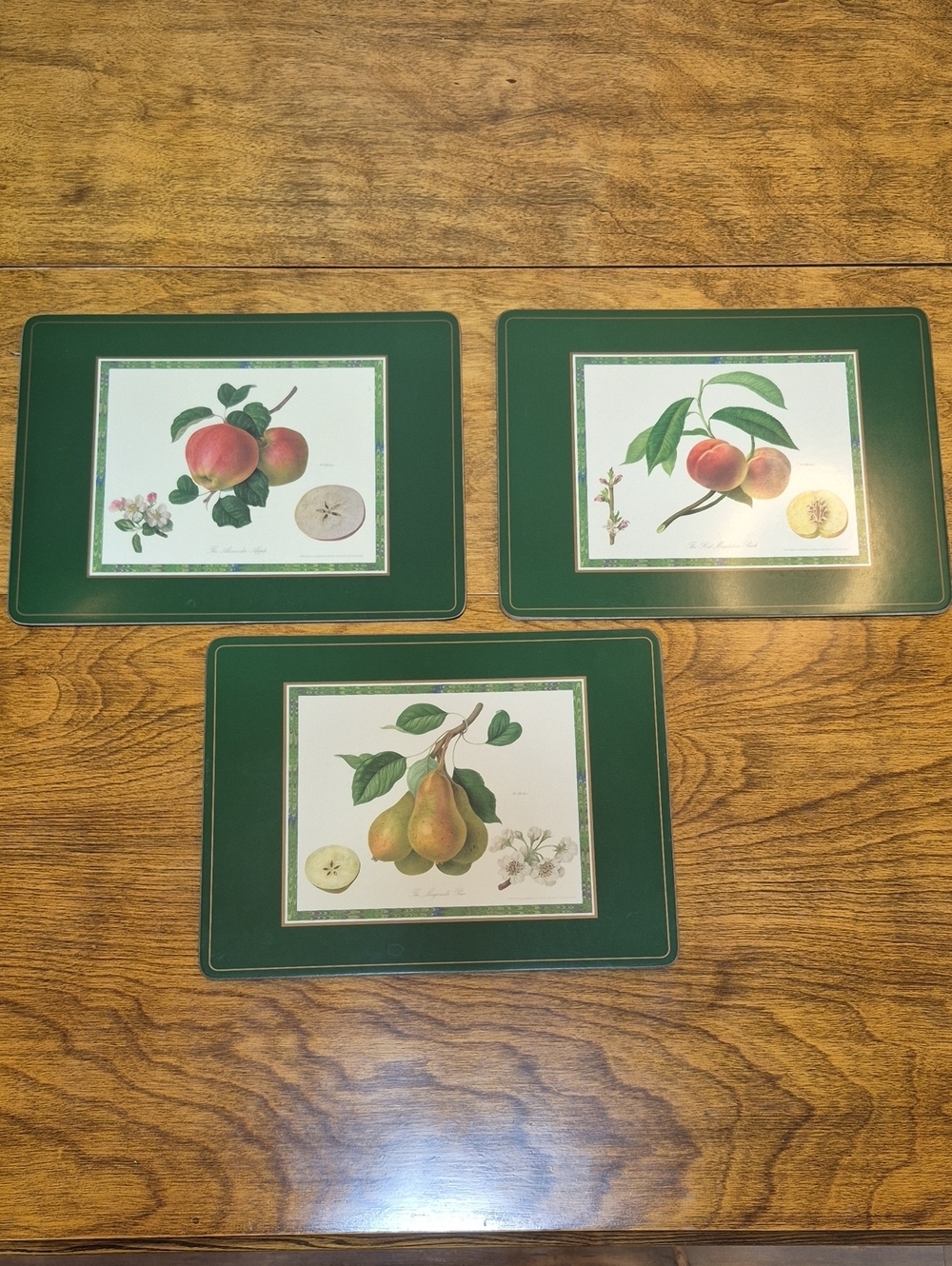 PIMPERNEL Vintage Set of 3 Fruit Illustrations Cork Backed Hard Placemats
